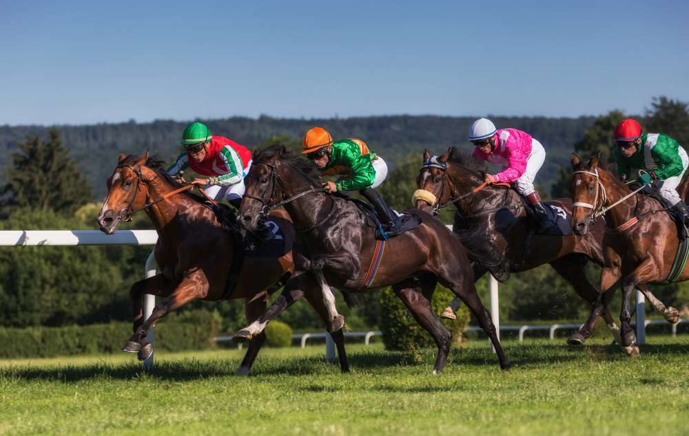 『カッコいい名前の馬』と『かわいい名前の馬』どっちが強い？実際に賭けてみた！🏇