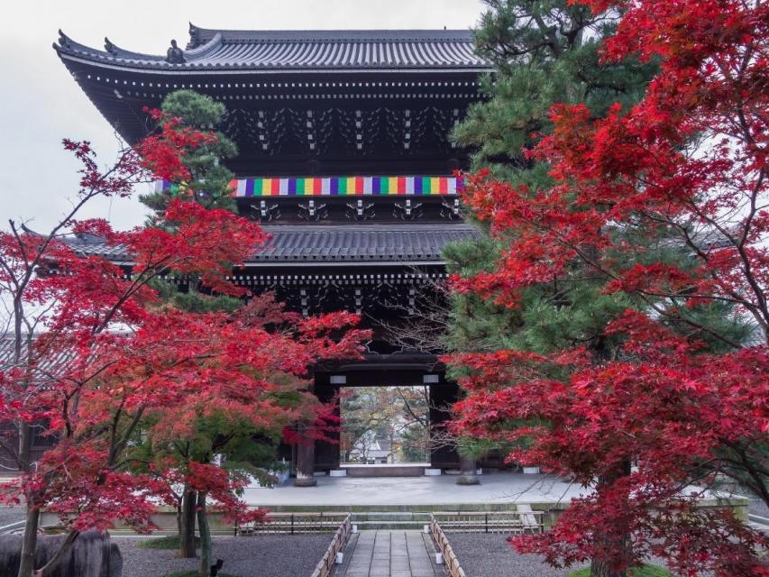 金戒光明寺　浄住寺　観光　京都　秋