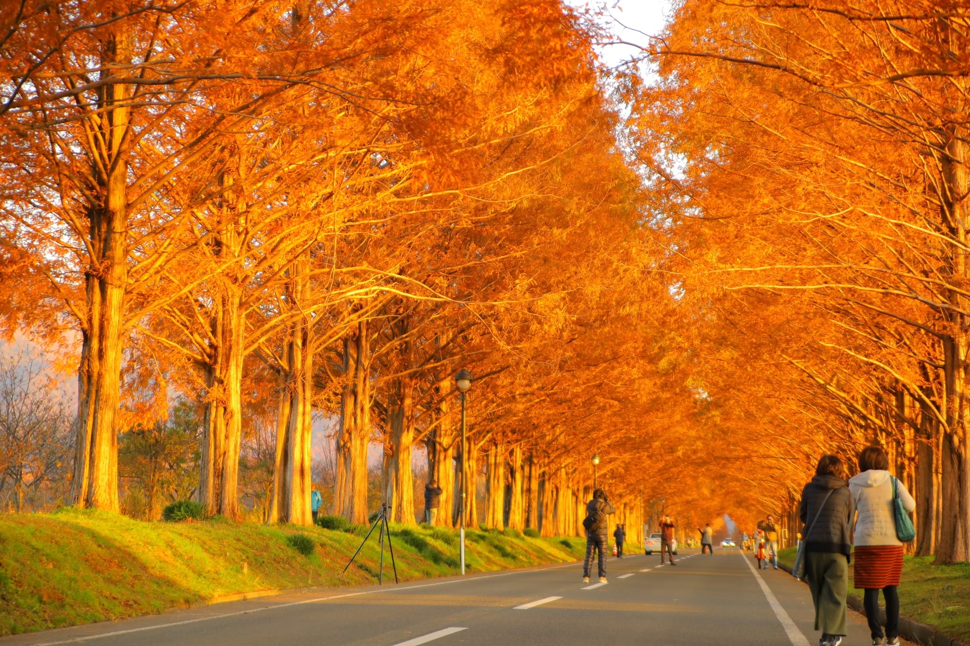 この秋に行きたい！ 全国各地の超絶景紅葉スポット