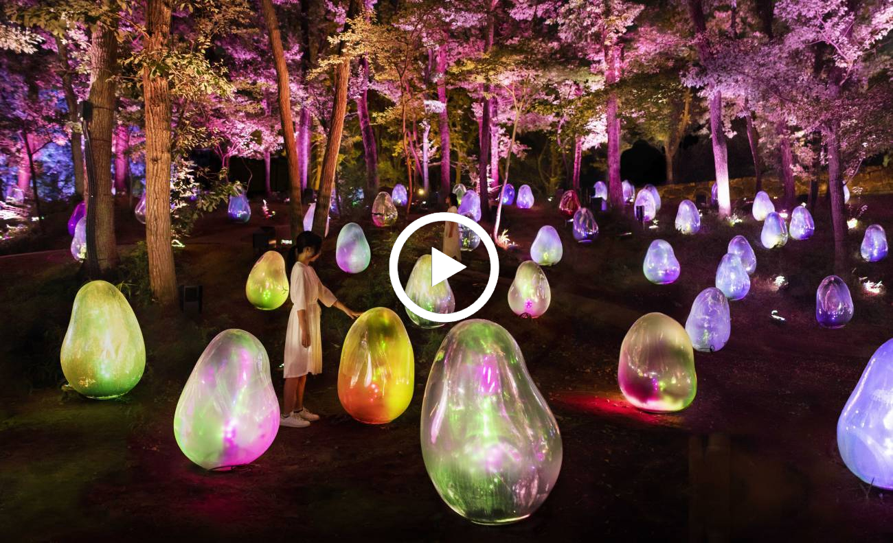 2022年夏、大阪・長居で夜の植物園がアートな空間に変わる常設展「チームラボ ボタニカルガーデン大阪」がオープン。